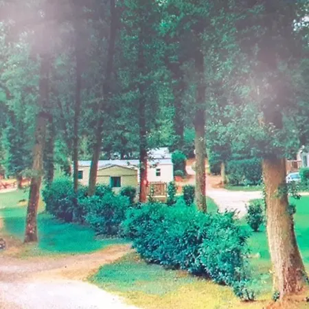 Camping des roches Camping